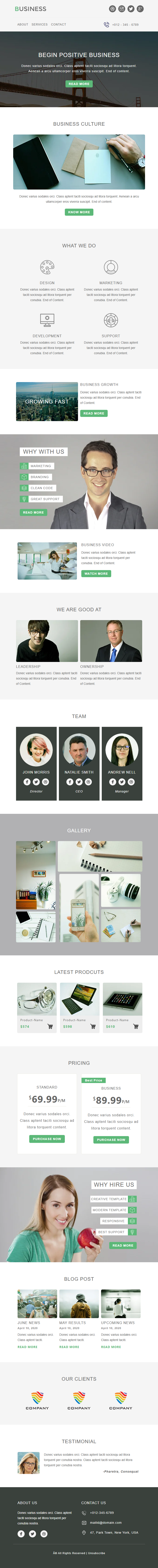 Business 2 template preview