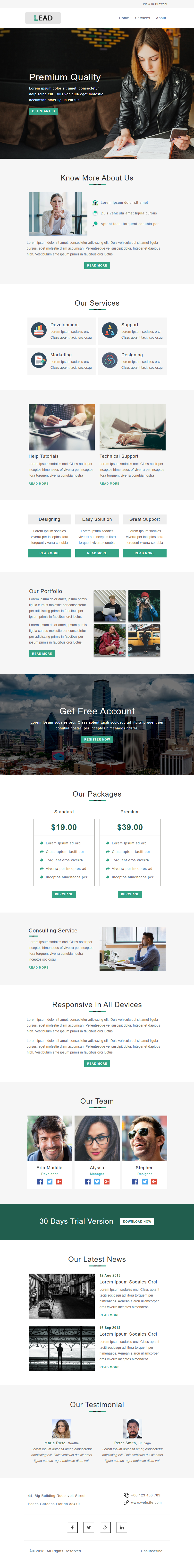Business Lead template preview