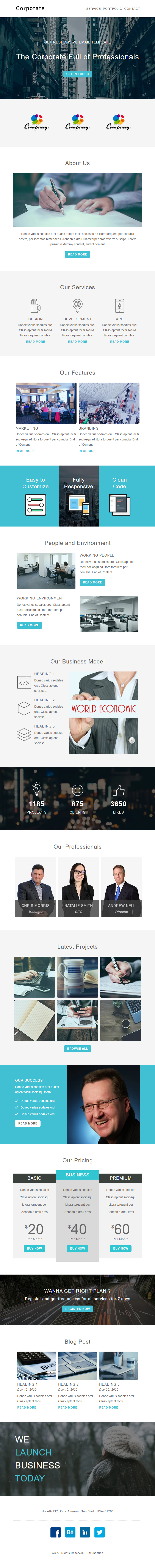 Corporate 3 Template preview