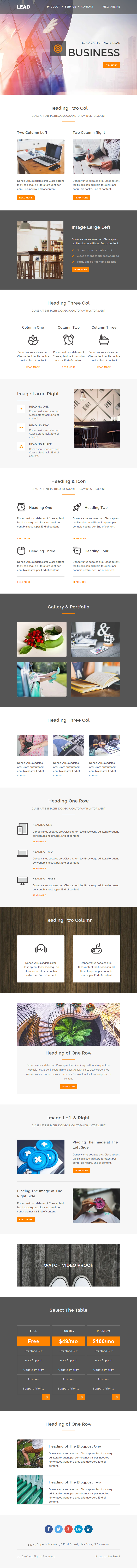 Lead template preview