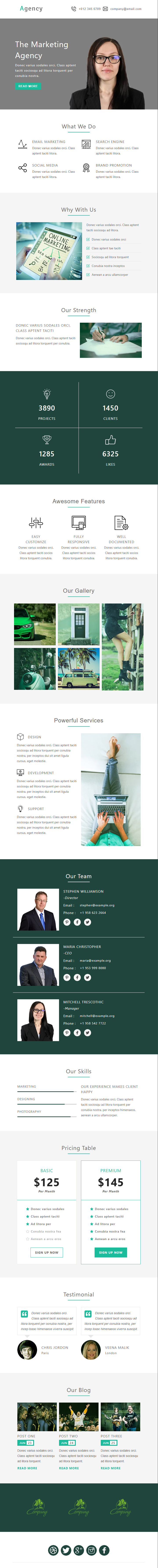 Marting Agency template preview